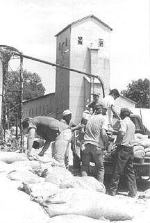 sandbaggers.jpg (24855 bytes)